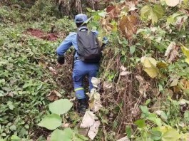 生命的奇迹！<strong><mark>重庆</mark></strong>86岁老人密林走失7天6夜后生还