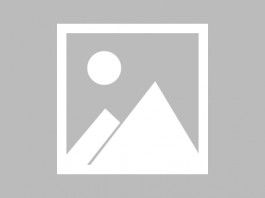 失踪人员：寻找失散多年的妹妹  乳名叶乐